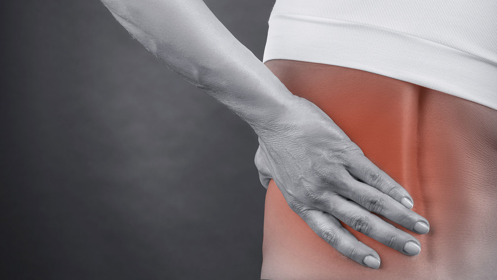 Chiropractor Santa Rosa CA | Lower Back Pain